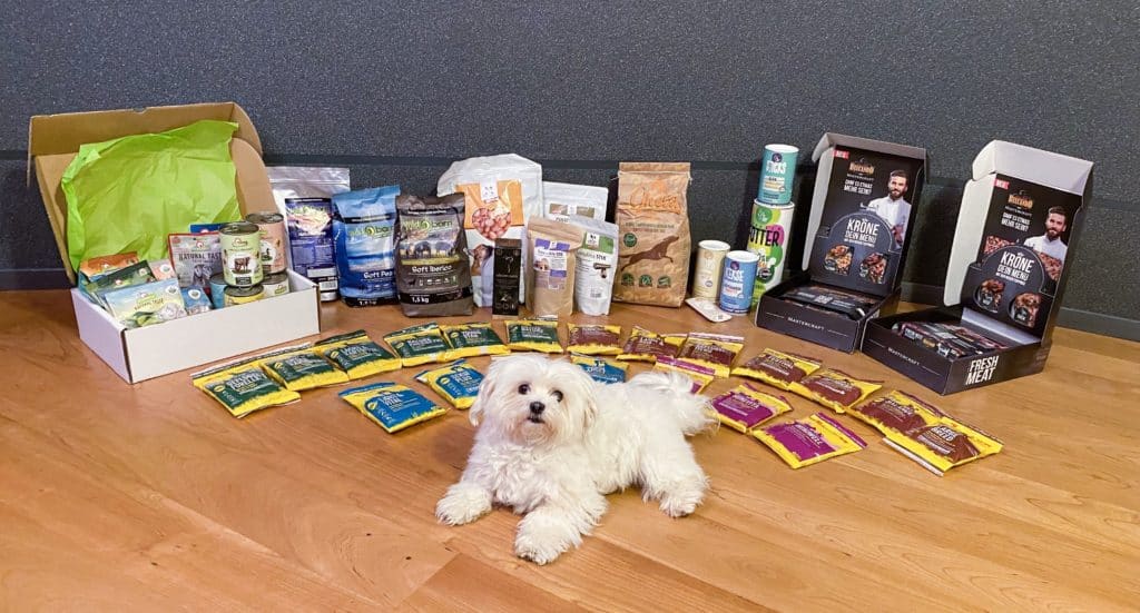Der große PETOU Hundefutter Test 2020 die 7 besten Anbieter