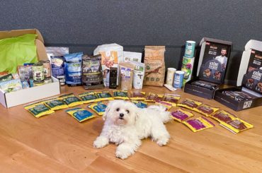 Hund mit verschiedenen Hundefutter Marken